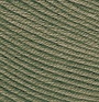 Cotton Gold фото